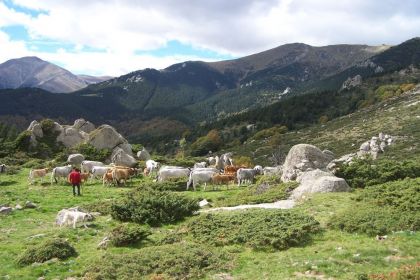 Partez à la découverte des Gorges de la Fou