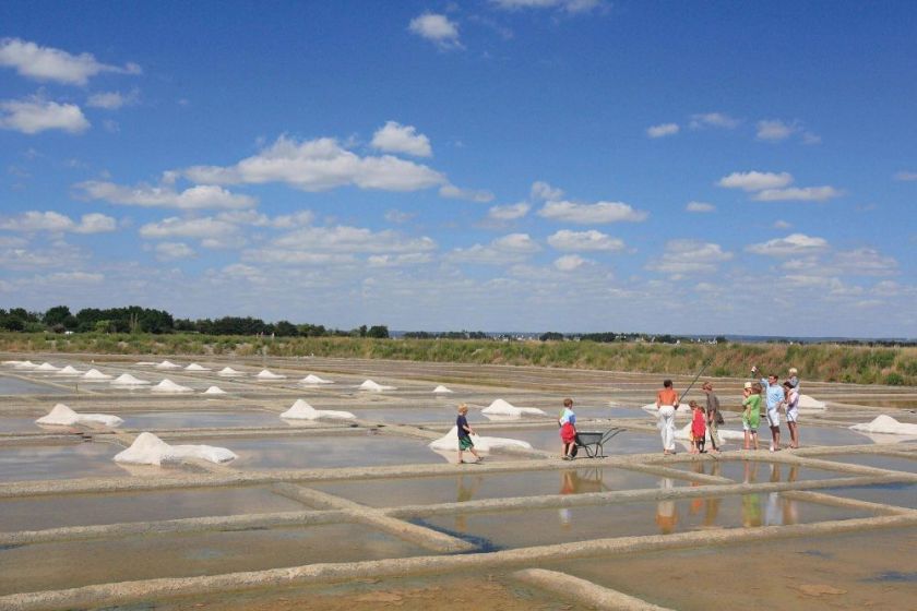 Les Marais Salants