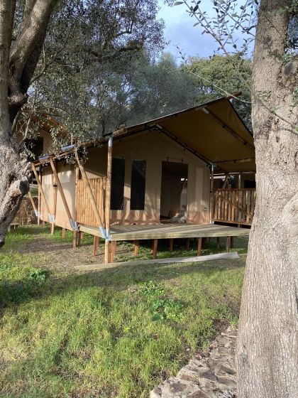 Tente Lodge - 5 personnes - Sans salle de bain