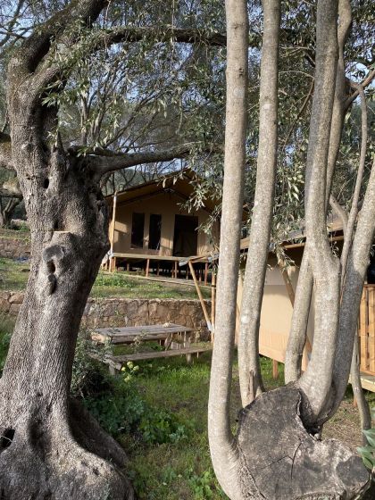 Tente Lodge - 5 personnes - Sans salle de bain