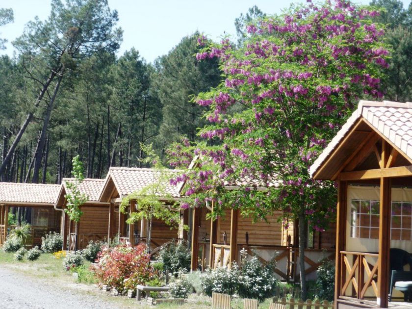 Camping Landes Océanes****