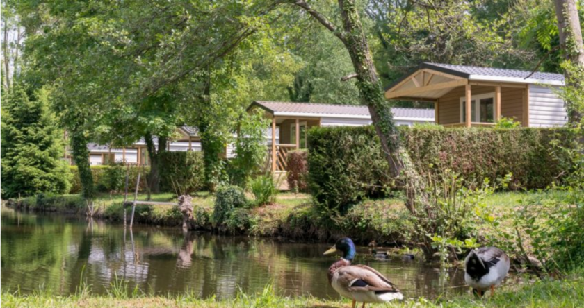 Un domaine 4 étoiles pour des vacances natures en famille !