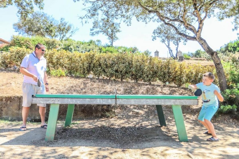 Table de ping-pong