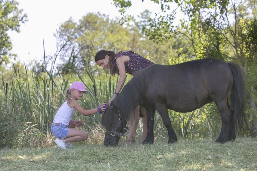 Rencontre avec les animaux