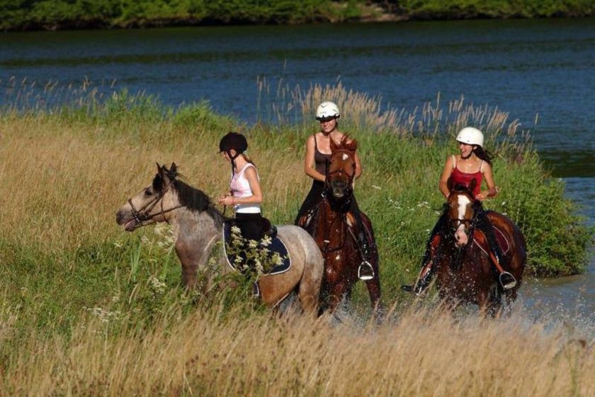 Au centre équestre, possibilité de faire de balades à cheval