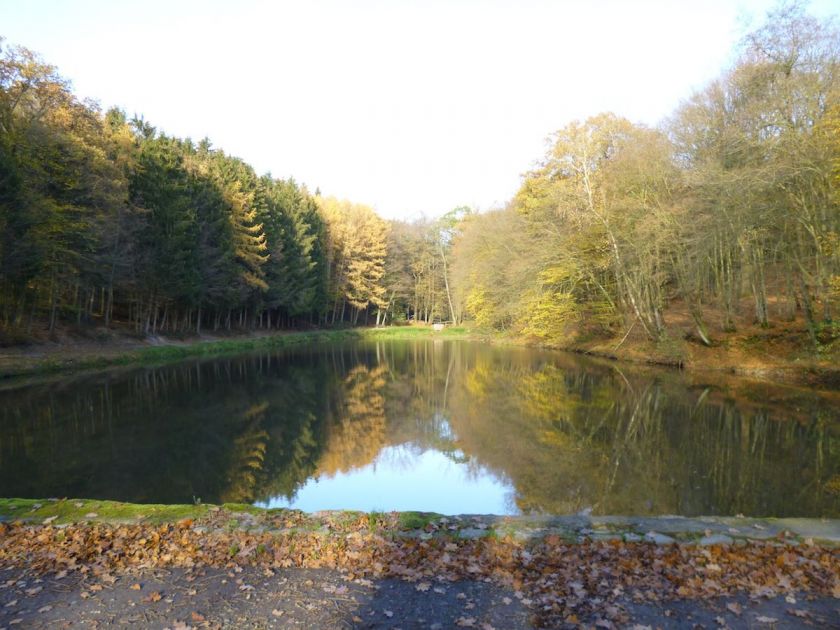 Vue sur la campagne environnante