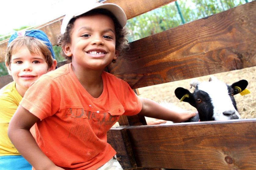 la mini ferme pour le plaisir des enfants !