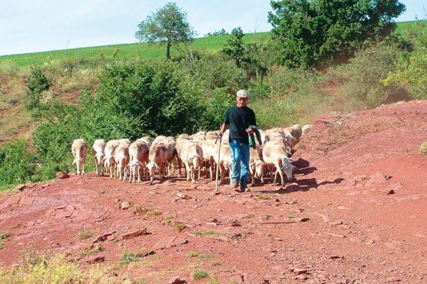 Bergers et paysans peuplent la région !