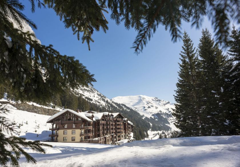 Un hébergement à la lisière de la forêt